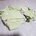Light Green Flower Fabric