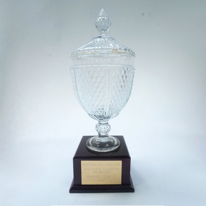 Crystal Cup Trophy