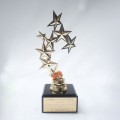 Trophy With Stars
